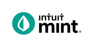 Who Should Use Mint?